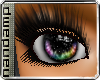 [NMP]Phoenix*Rainbow*