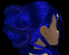 Dark blue black paola