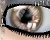 Shiny Eyes Wood M