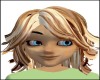 Product Image for Blond Hilites