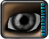 [C]iDistort - Black