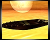 BDL Love Boat