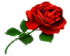 |XX| Ouran Rose Col.