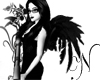 [N]Black wings
