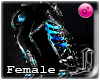 ! Tiesto Strap Black - F