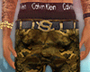 YSL Belt x Camos