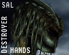 SAL::DESTROYER::HANDS