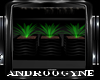 TRIO PLANTS