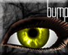 bump-I-Xanthic