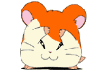 cute hamtaro