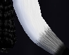Fallen Wolf Tail
