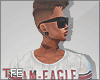 TFE. am deagle 1997