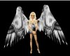 (SDJS)silver wings