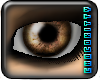 [C]iDistort - GoldenBrwn