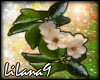 *LL* Flower enhancer 3