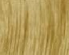 blond hair