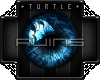 T. Ruins - Cerulean