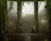 [TP] Gothic Garden III