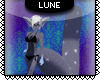 L~ Spar Tail