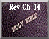 Audio Bible Rev Ch 14
