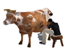 :) Cow with poses