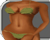 Y&B Stripped Bikini