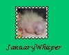 Baby Cockatiel Stamp