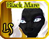 Product Image for Black Horse Mare Skin