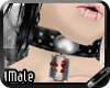 [K] Collar+Arm