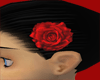 [AN]Redrose clip