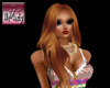 Palomity Ginger Spice