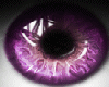 t| Pink Shine Eyes Femal