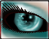 [A] Tempt Eyes Aqua