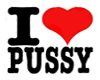 I love pussy