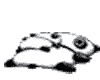 kute