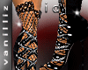 -v- Infidel Diva 2
