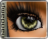 [NMP]Phoenix *Honey*