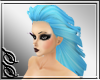 !SS Mermaid Rejoice