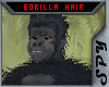 [SPY] Gorilla Hair