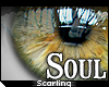 http://userimages04-akm.imvu.com/productdata/images_613851fb3106298aa78301aa539b7d89.png