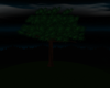 Lonely Hilltop Tree