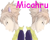 [MD] Hikaru & Kaoru