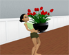 (IKY2) ELEGANT TULIPS/B