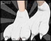 ! Paws: white.