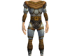 Plates & chainmail armor