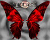 Fantasy Butterfly Wings