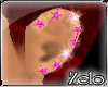 *z* Animated STARS P