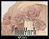 http://userimages04-akm.imvu.com/productdata/images_7773c7de0eca8f81694ad14c97fb0af2.png
