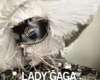 Lady GaGa-Bad Romance