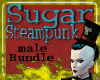 Male Sugar Steampunk Bundle